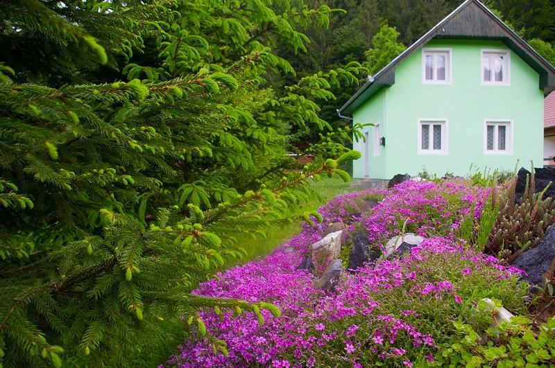 Pataki Kulcsoshaz Villa Izvoare  Exterior photo